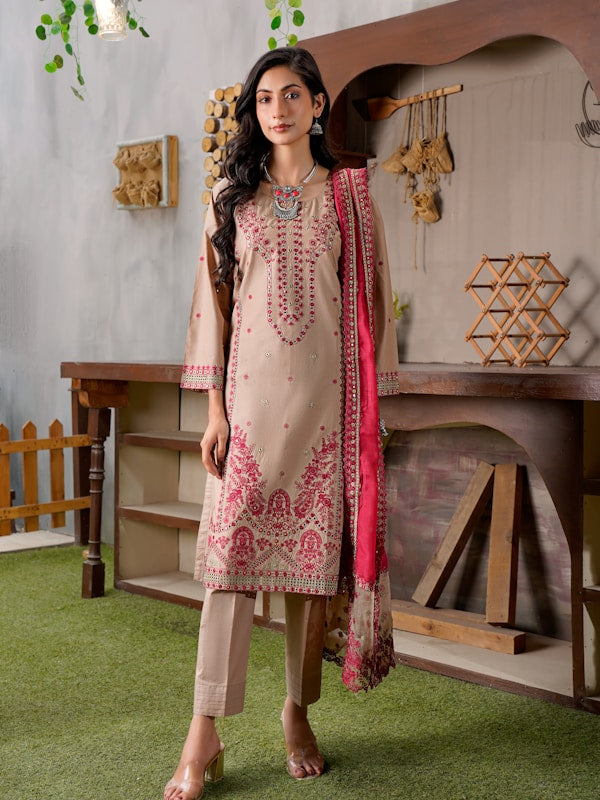 Embroidered Pakistani suit — Moonlight Motifs craftsmanship